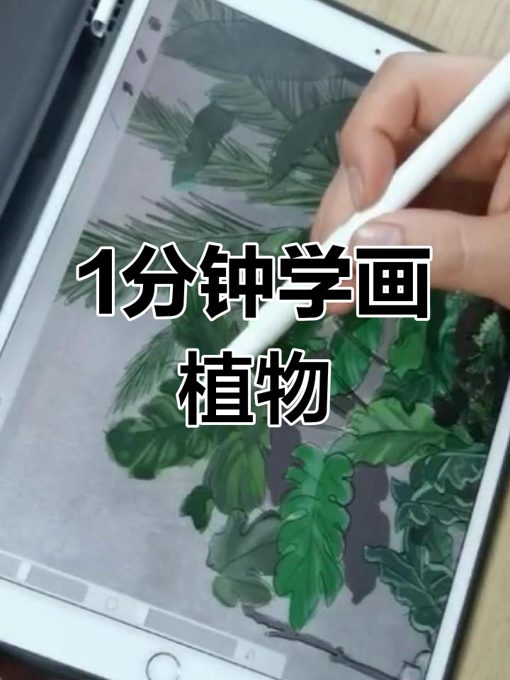 一分钟学会画植物盆栽,简单步骤搞定基础绘制