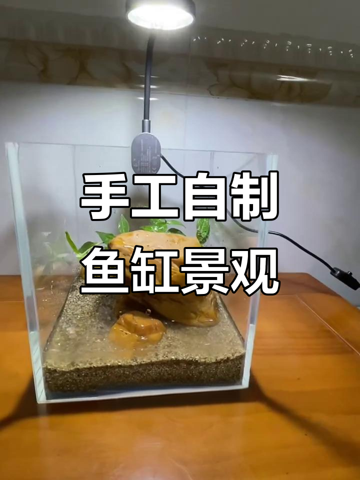 自制鱼缸造景,打造原生水草与石头的完美搭配