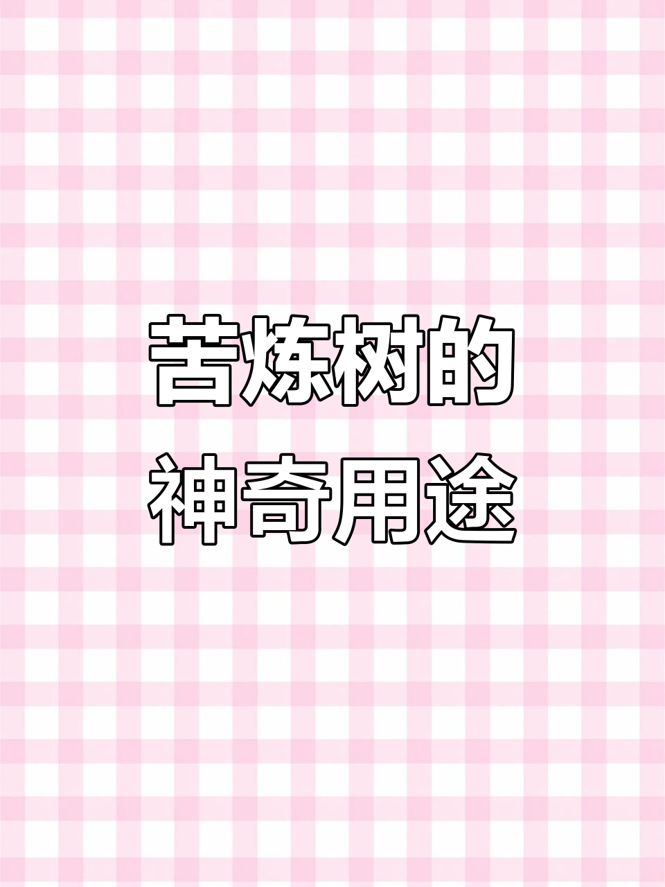 苦炼树:村里人用来做弹弓的“毒果”,竟是天然杀虫剂