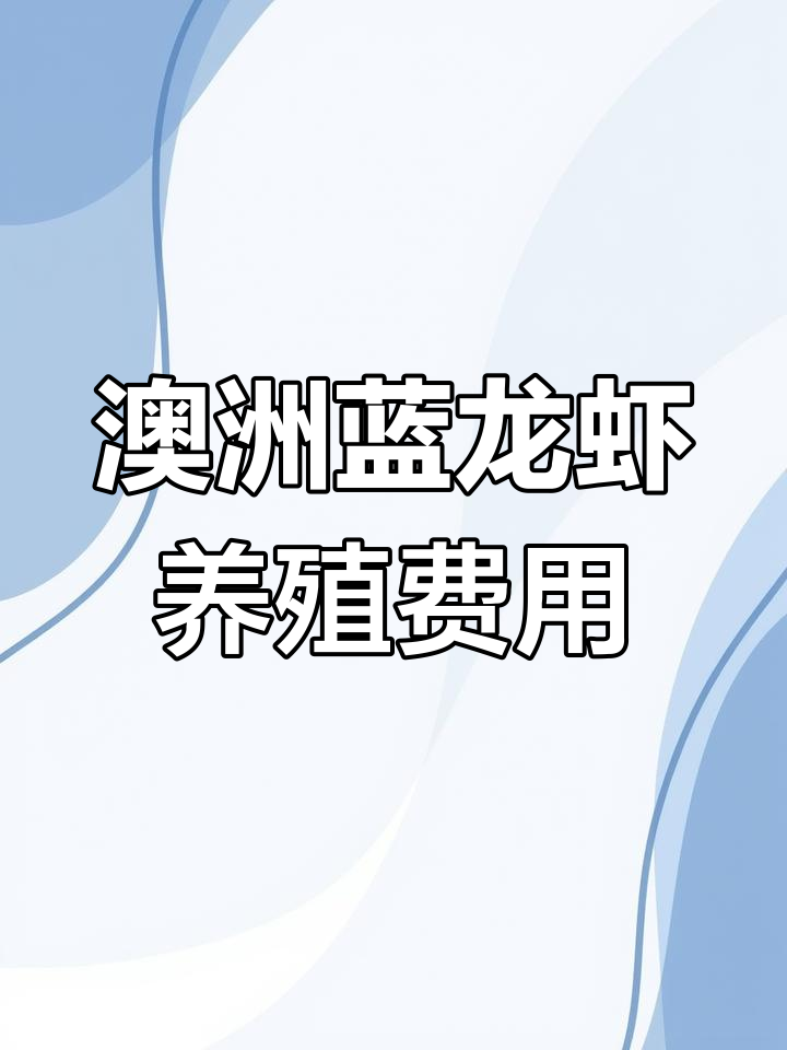 澳洲蓝龙虾养殖成本揭秘,35-80元一斤的背后投入