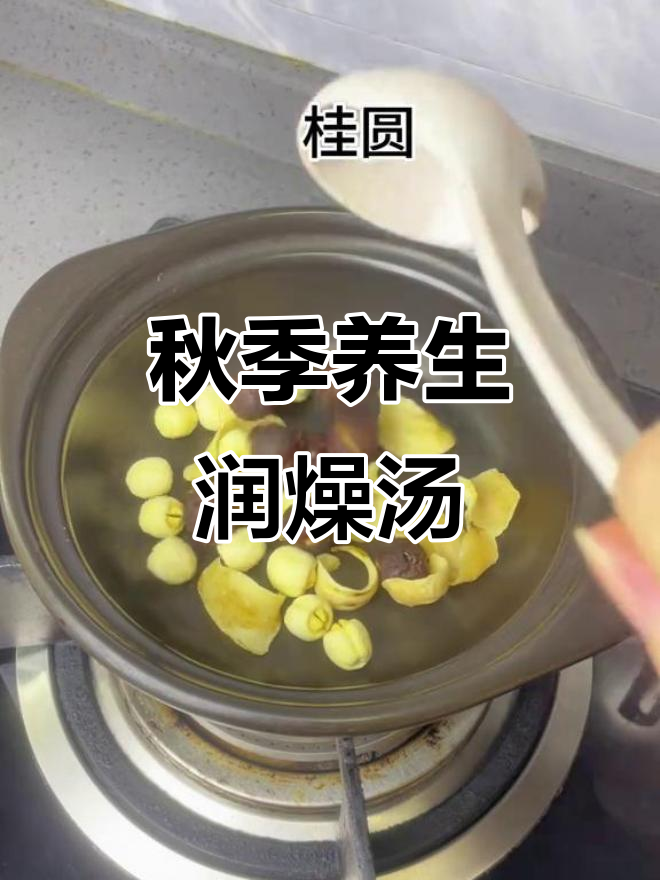 秋季润燥汤,莲子百合麦冬枸杞炖鸡蛋