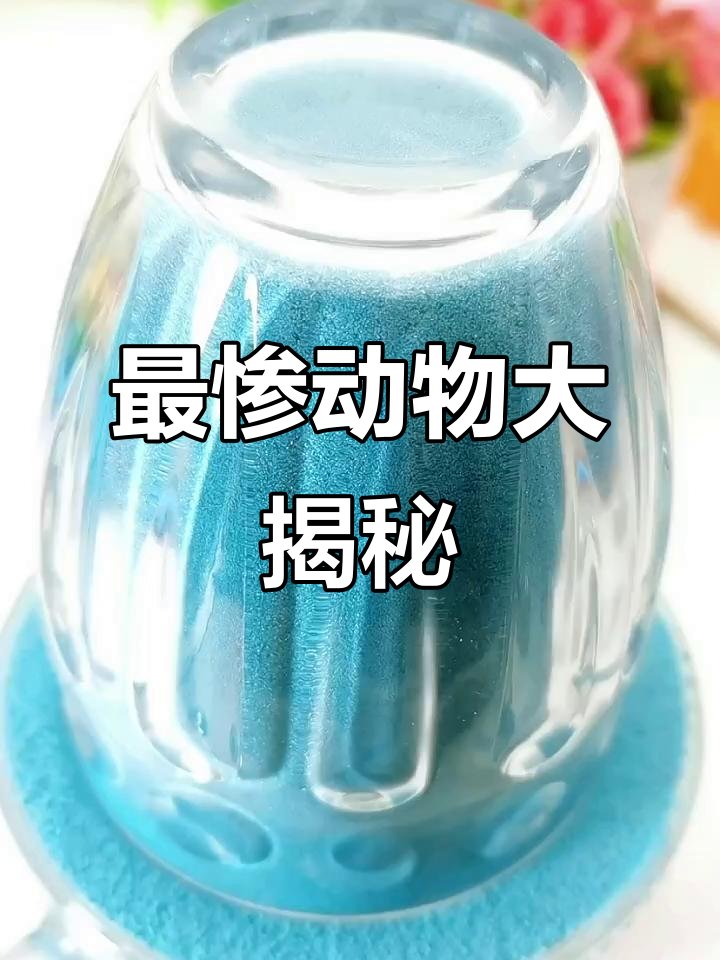 世界上最悲惨的动物:从猪到金鱼的悲剧