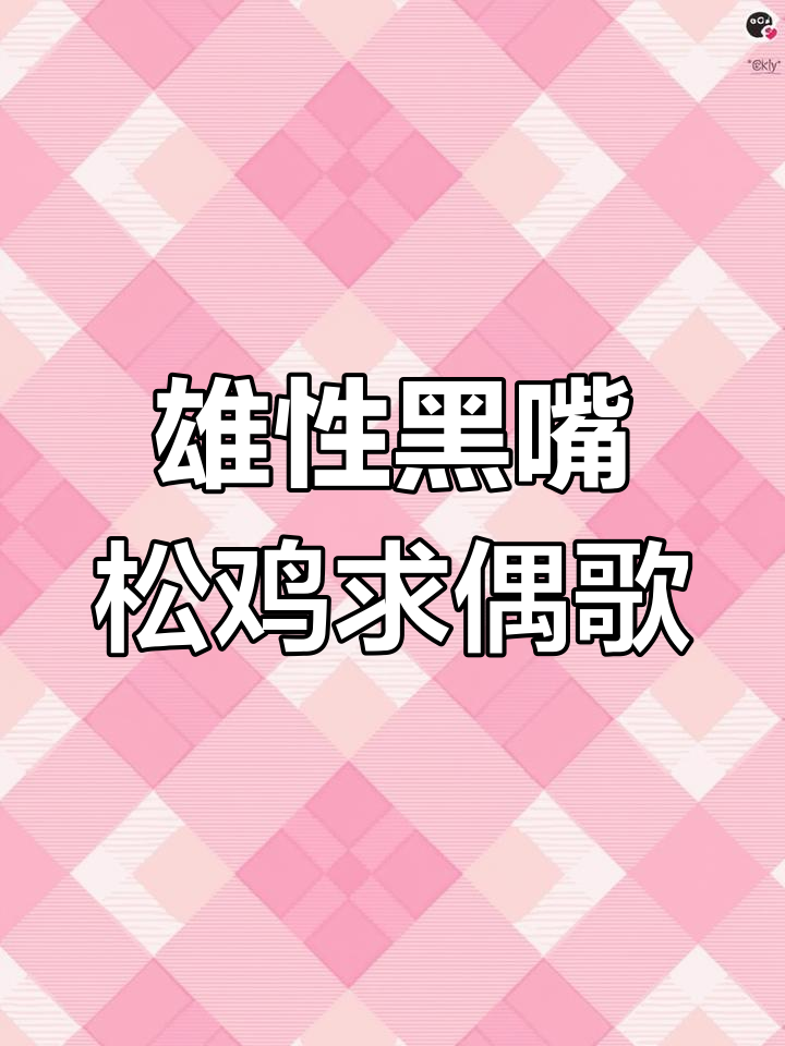 黑嘴松鸡的独特生活习性