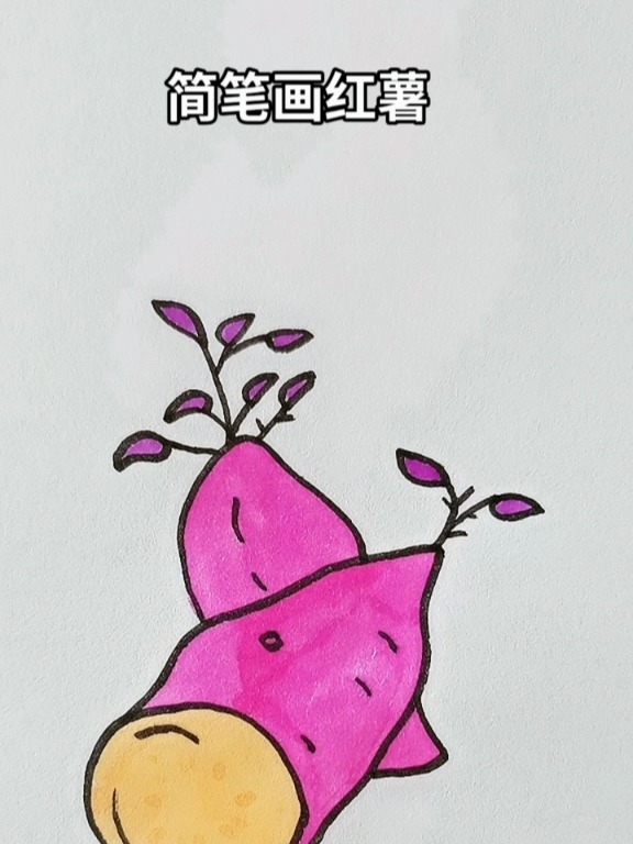 简笔画红薯
