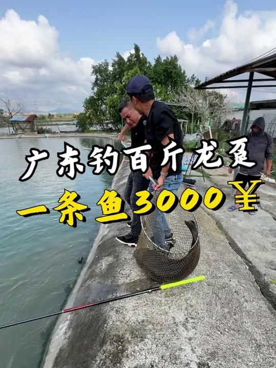 广东钓百斤龙趸 一条鱼价值3000块钱?#钓鱼 #龙趸 #海钓 #盘老板系列 #盘老板
