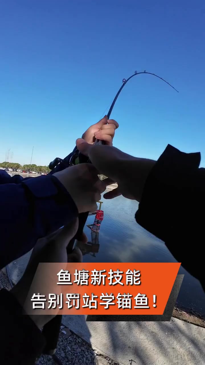 鱼塘新技能,告别罚站学锚鱼!
