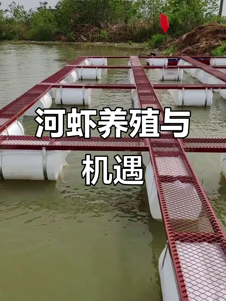 河虾养殖网箱:机会靠自己,富贵险中求