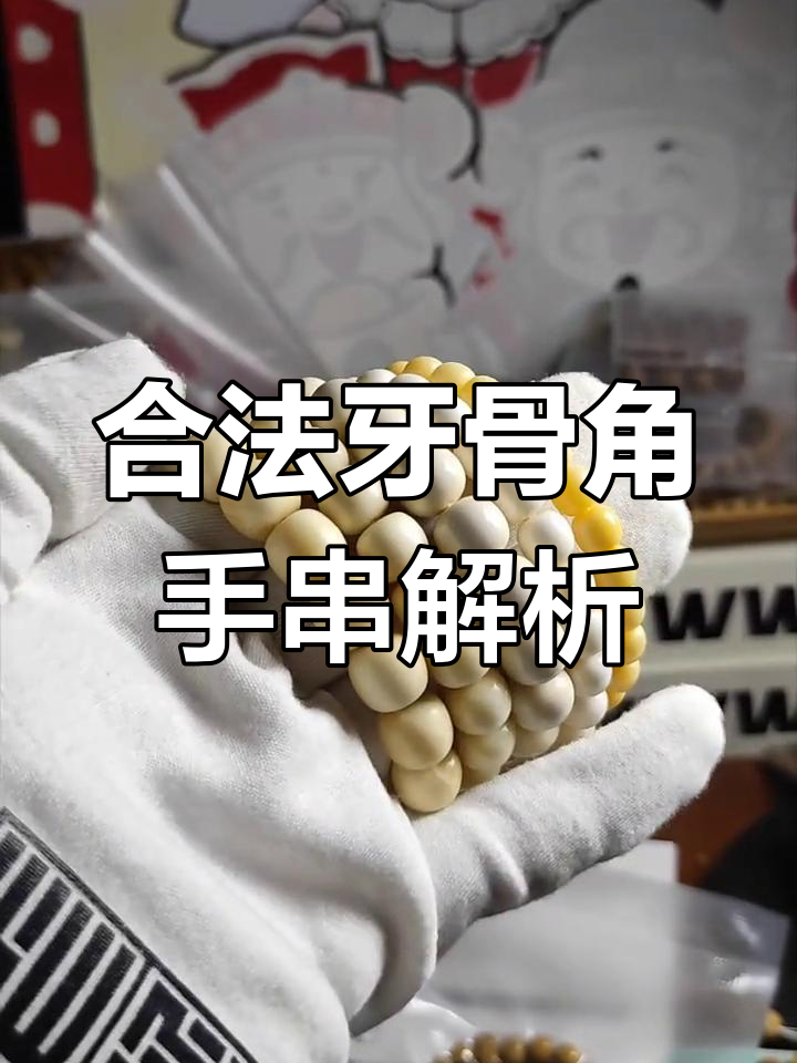 牙骨角手串材质大揭秘:猛犸象牙、独角鲸与驼骨价格对比