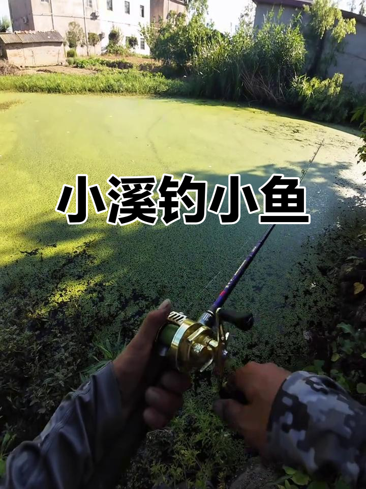江东铅钩挑战小福蜜糖,鱼不大但力道十足