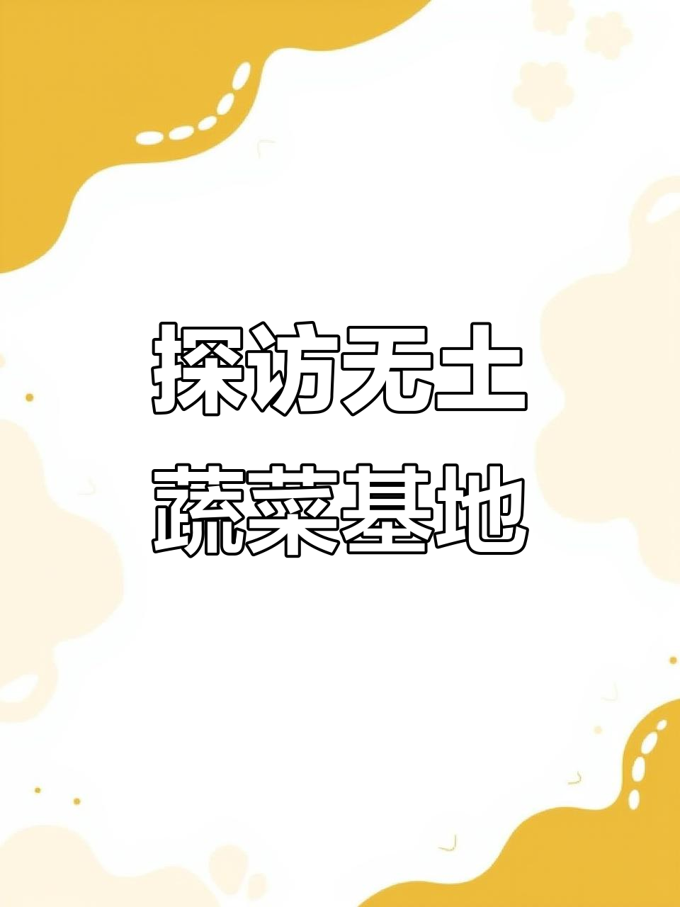 无土栽培蔬菜基地大揭秘,第三天带你参观全程