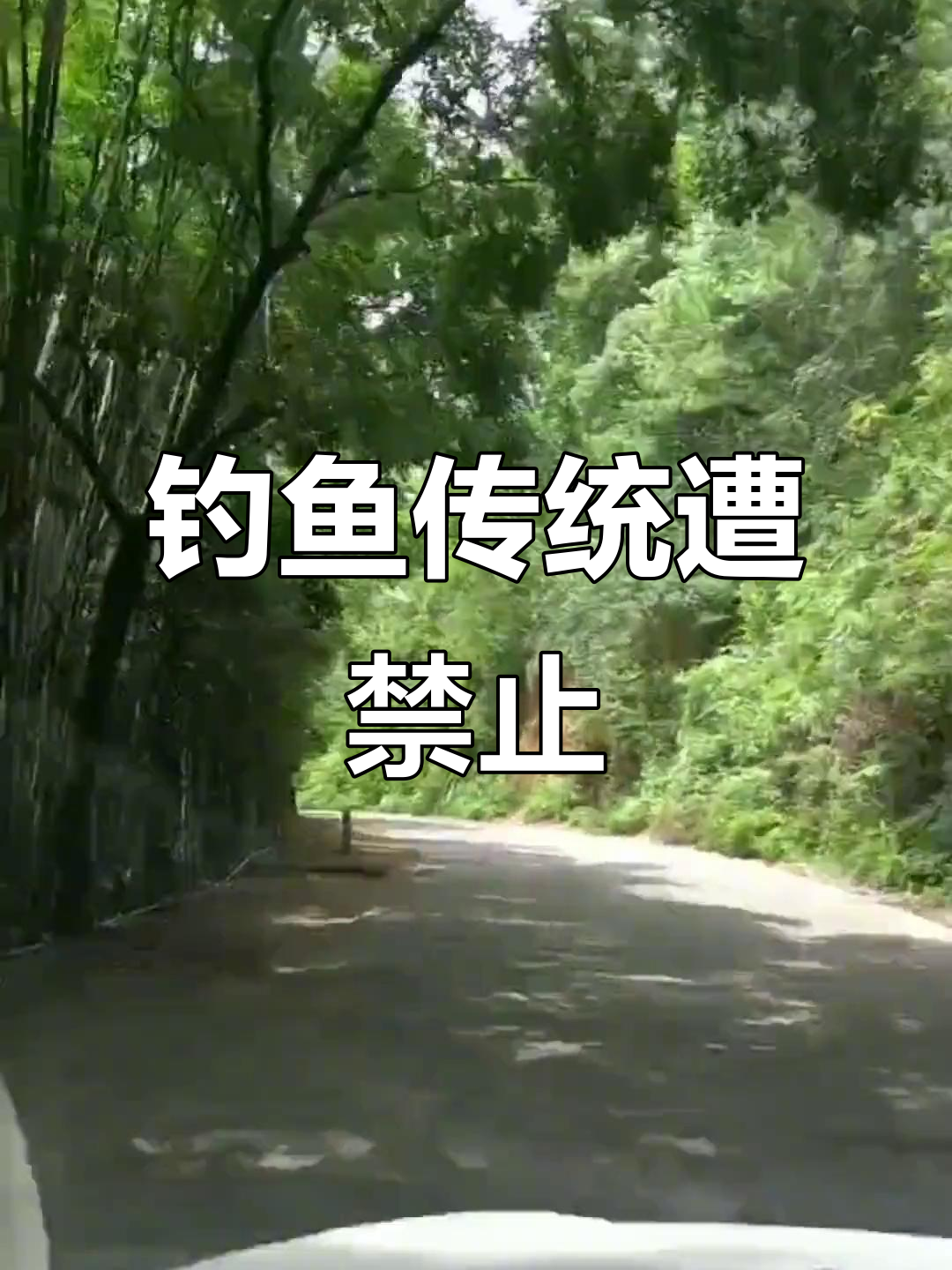 千年传统说停就停，钓鱼牌禁令一刀切，出门也得按指示行事！