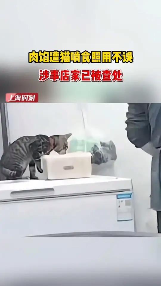 湖北宜昌一家早餐店被曝用遭猫啃食的肉馅制作包子,引发关注。当地监管部门已迅速行动,对涉事店
