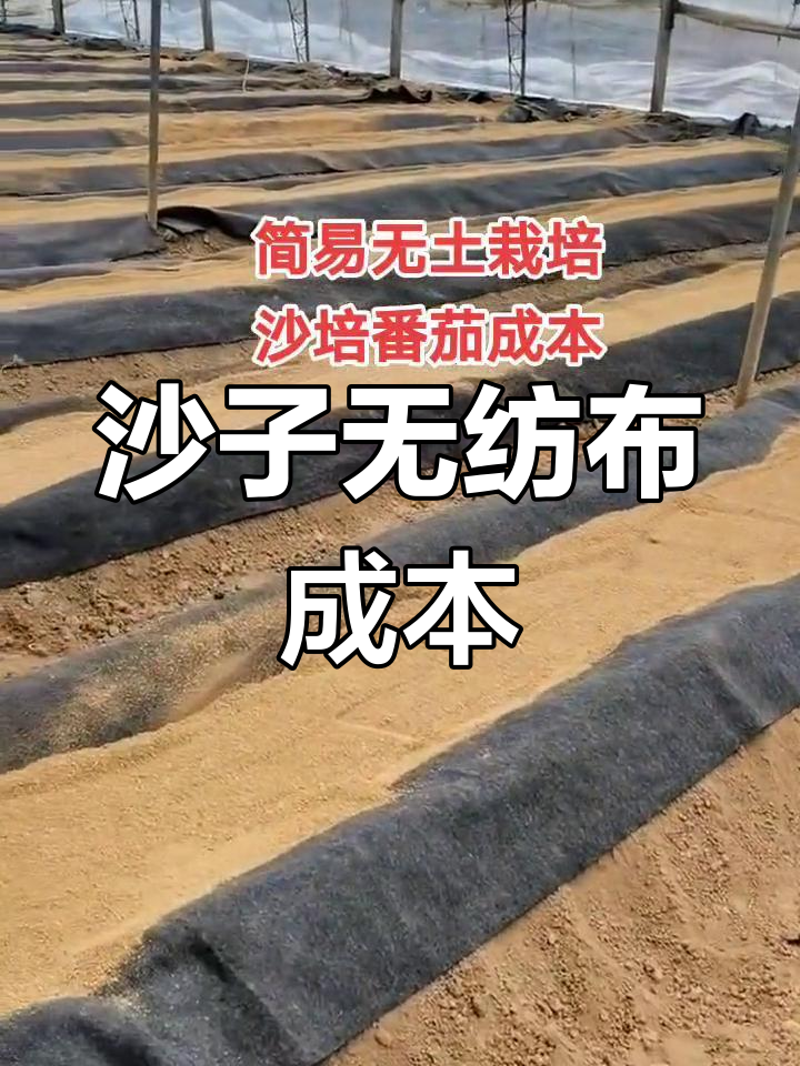 无土栽培沙培西红柿的成本分析