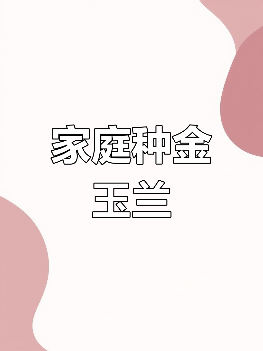 金玉兰菜,营养丰富,家庭种植简单,轻松收获多茬