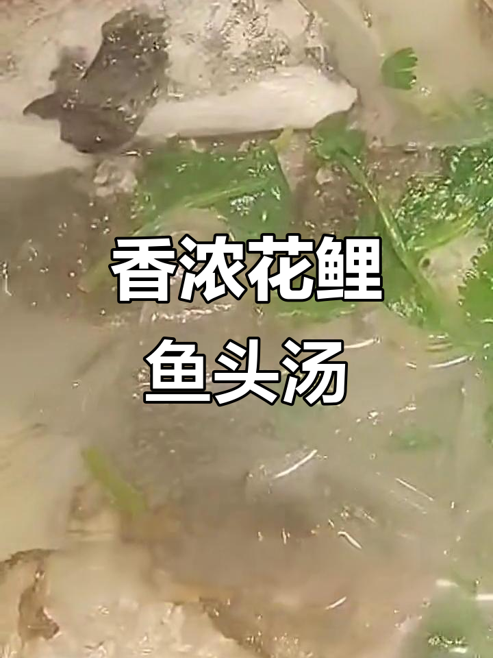 花鲤鱼头汤,粉皮香菜一锅炖出美味滋补