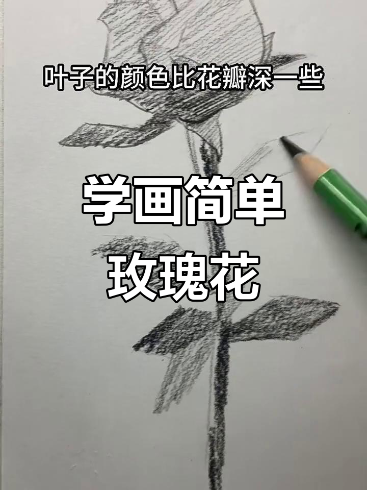 零基础素描玫瑰花教程,轻松掌握花朵与叶子的绘制技巧
