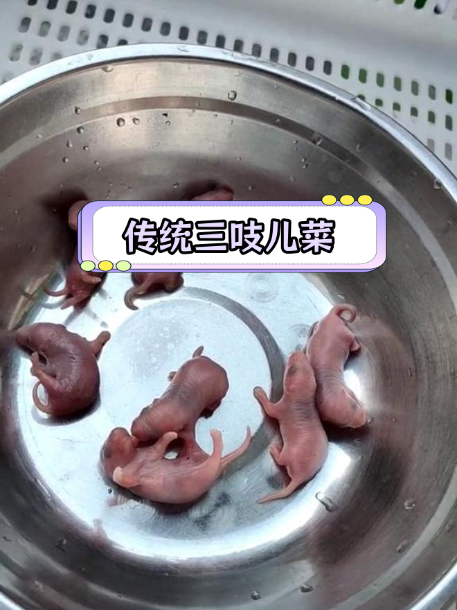 三吱儿:福建闽北的独特美味