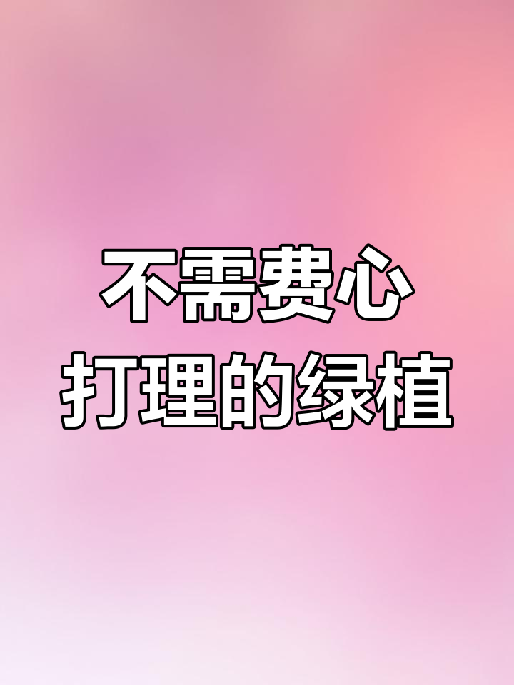 10种超好养的绿植,家里不养一盆可惜
