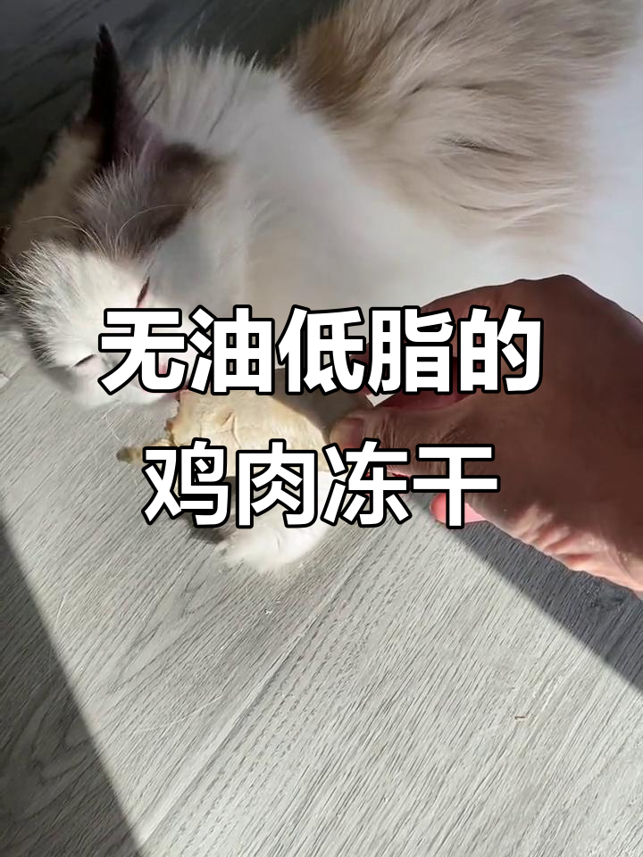 纯肉冻干鸡小胸,磨牙洁齿又健康
