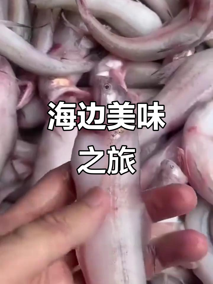清晨海边,龙头鱼豆腐香气扑鼻!