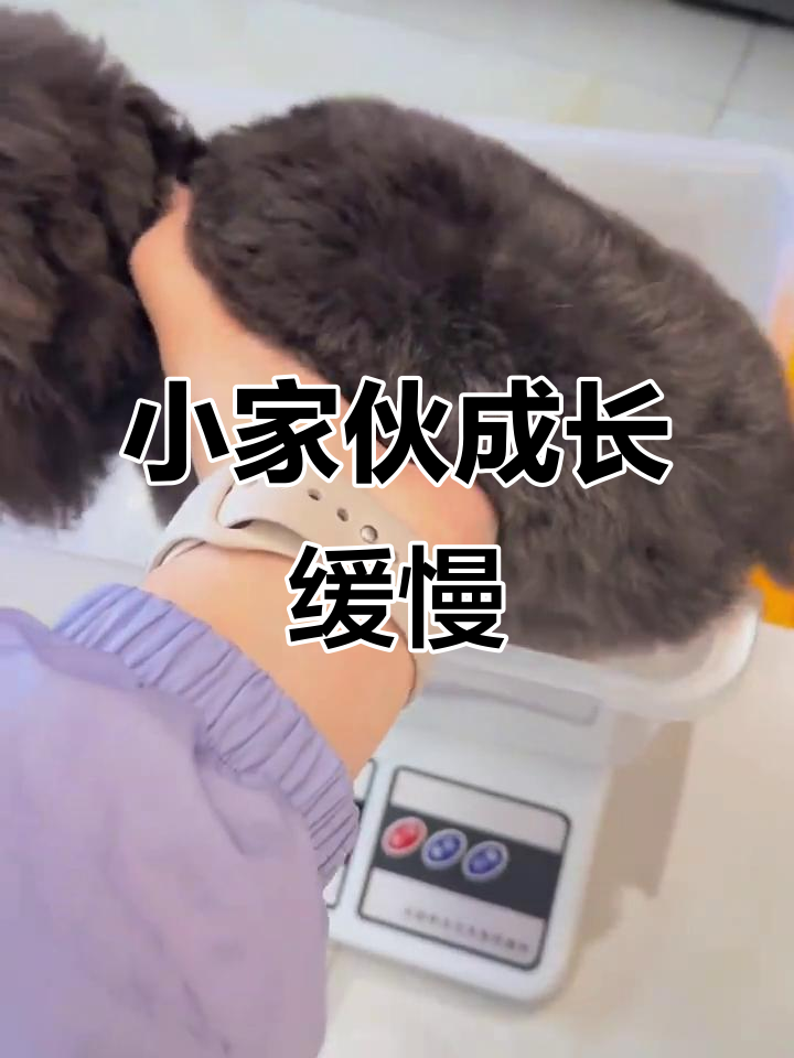 六个月才1.9斤,成年能长多大?一个月没变化有点担心
