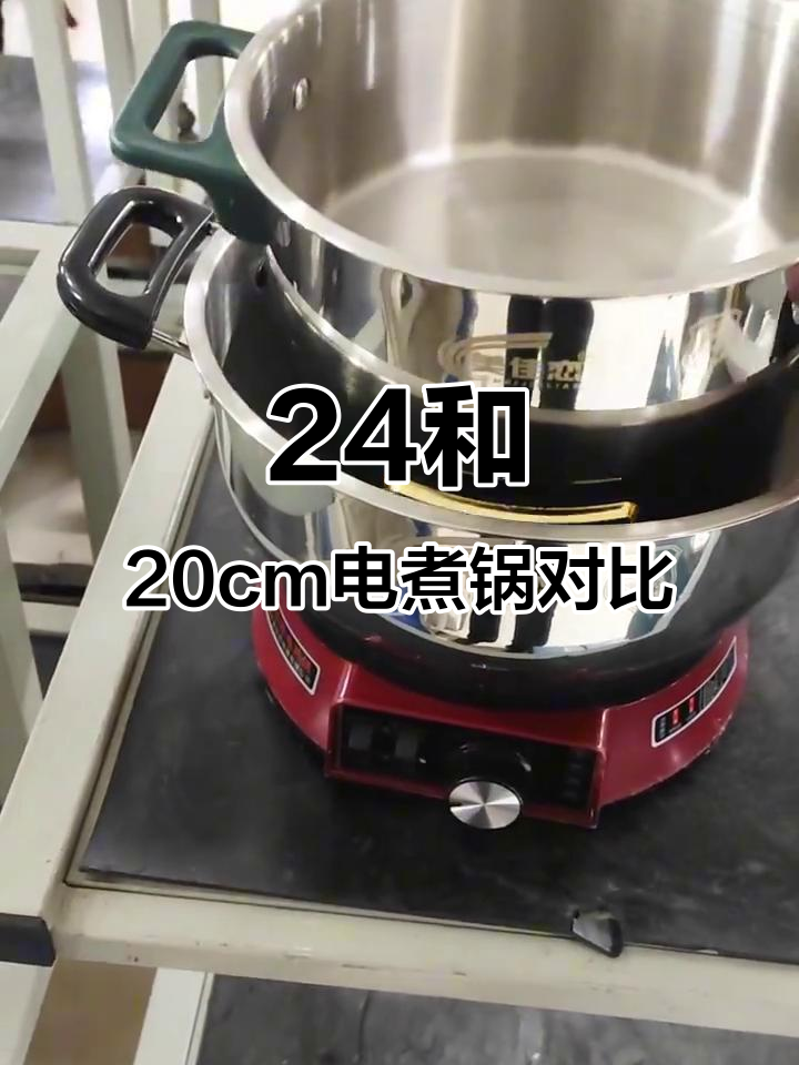 24cm与20cm电煮锅对比,哪个更适合你?