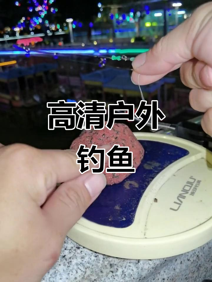 户外垂钓高清视频,钓鱼乐趣尽享