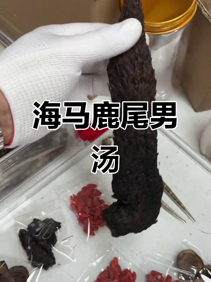 男人汤大揭秘:海马鹿尾巴十全补品,配方超猛!