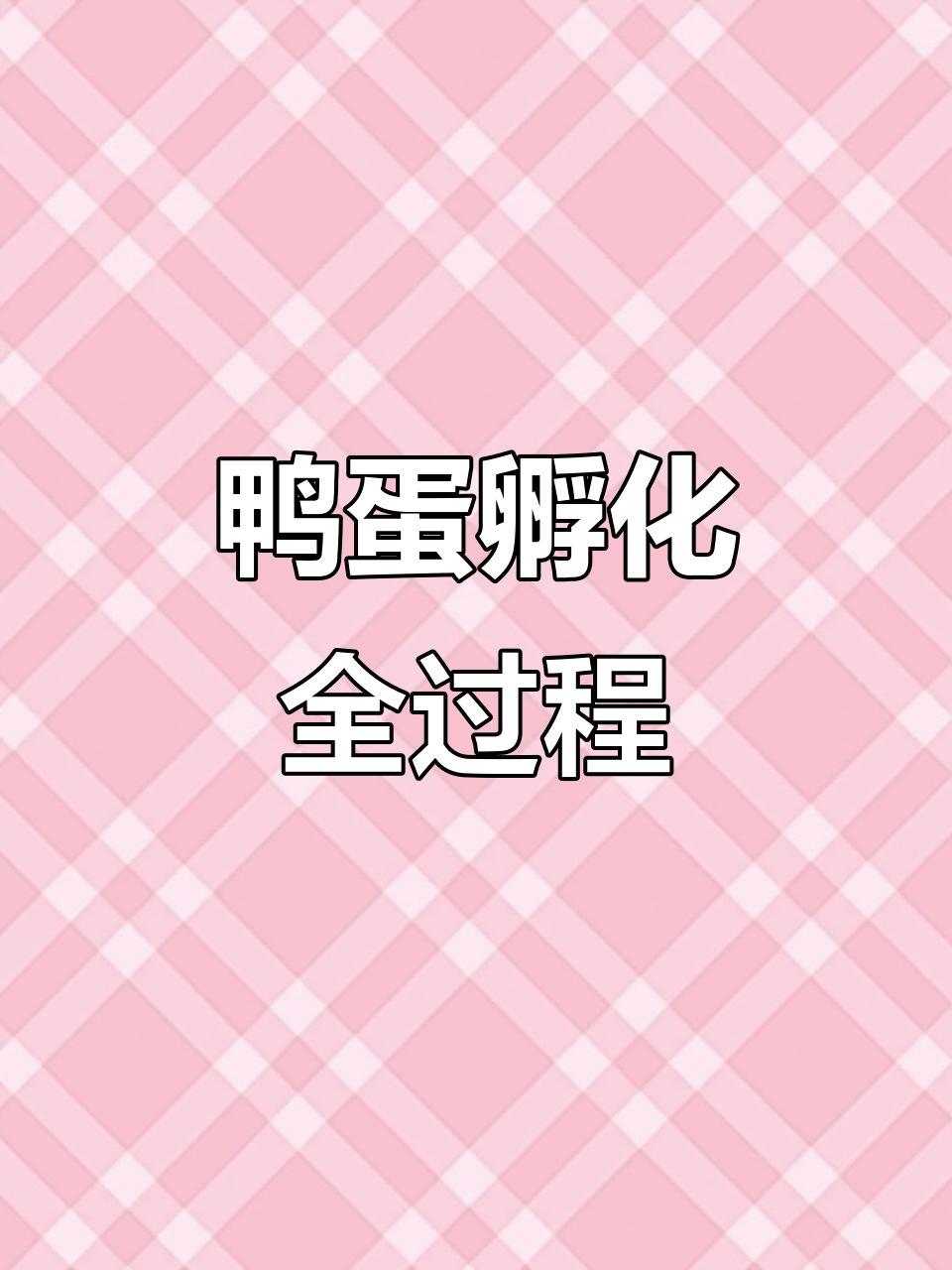 鸭蛋放进孵化机,28天就能迎来小生命的奇迹时刻