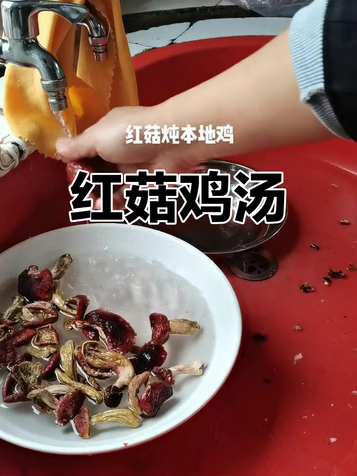 红菇炖鸡,滋补养生汤