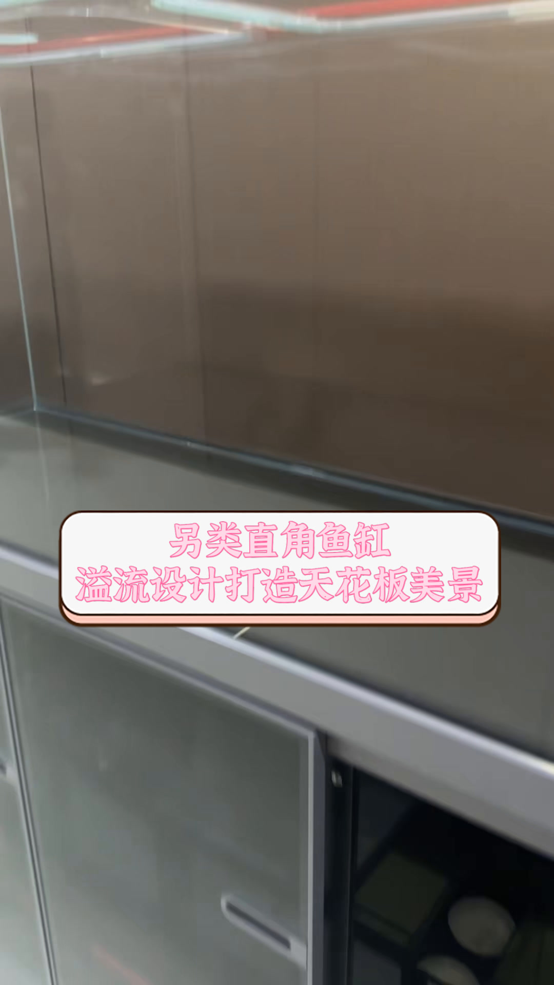 另类直角鱼缸,溢流设计打造天花板美景