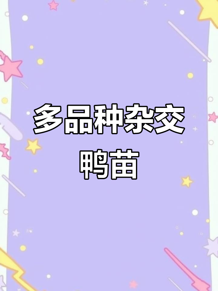 杂交鸭苗品种丰富,今天大揭秘