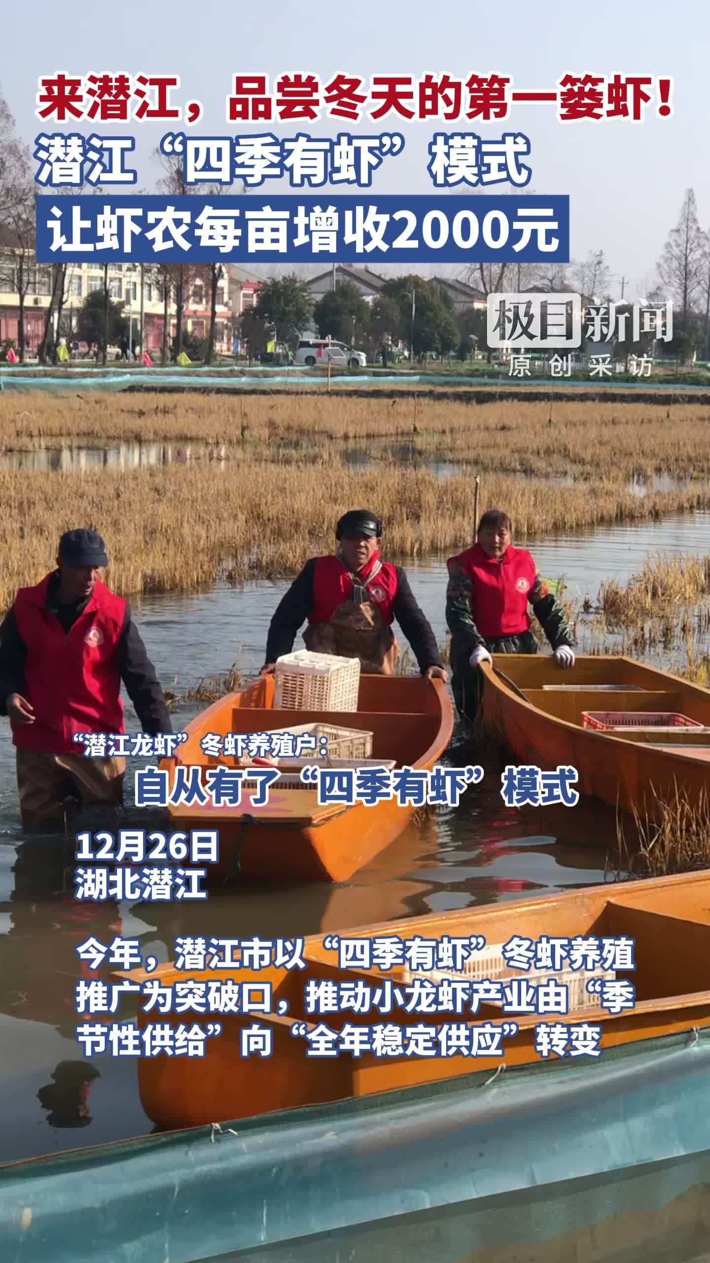 潜江冬虾开捕啦!来潜江,品尝冬天的第一篓虾。“四季有虾”模式,让虾农每亩增收2000元