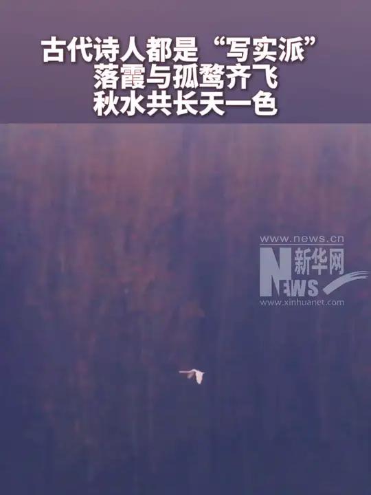 古代诗人都是“写实派” 网友拍下了落霞与孤鹜齐飞,秋水共长天一色 美景
