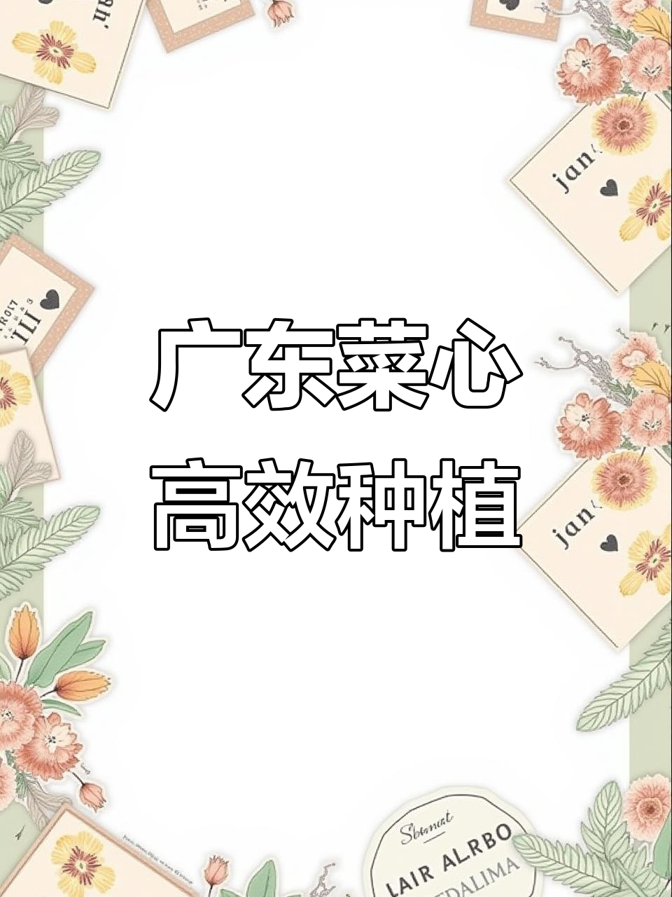 广东菜心种植技巧,轻松学会种菜