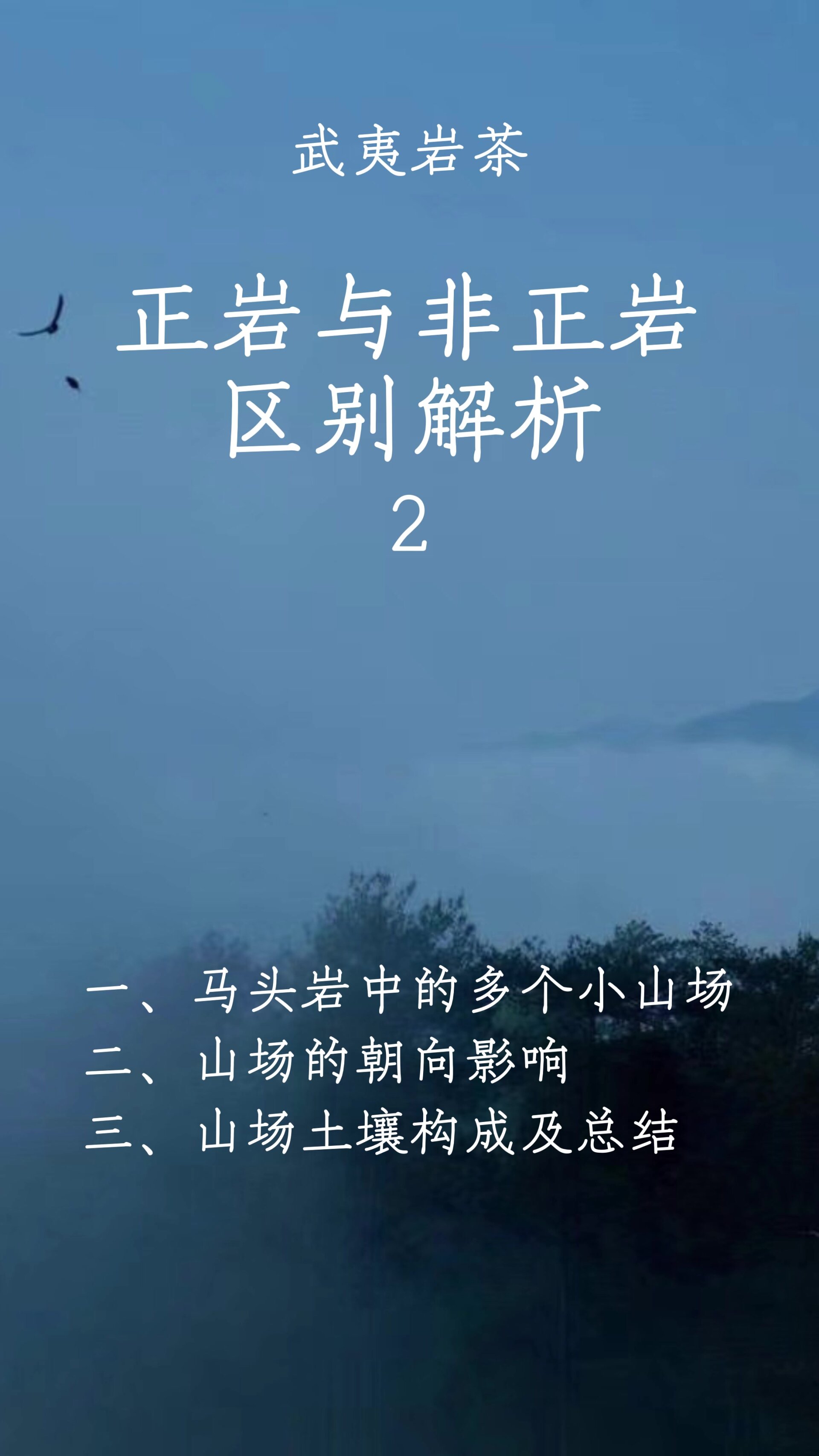 茶知识积累|深入总结 正岩山场环境及土壤