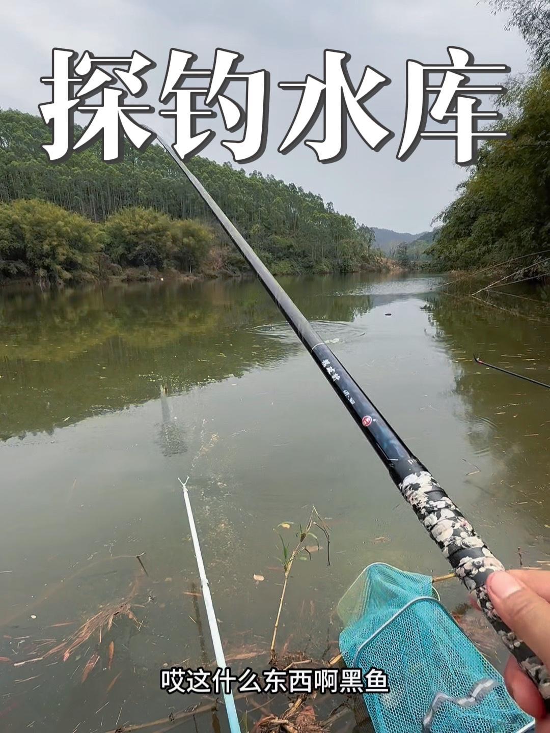 跑了300公里去钓鱼,差点打个大龟,看来到处都不好钓啊 原来钓鱼才是抖音运动顶流 光威鱼竿
