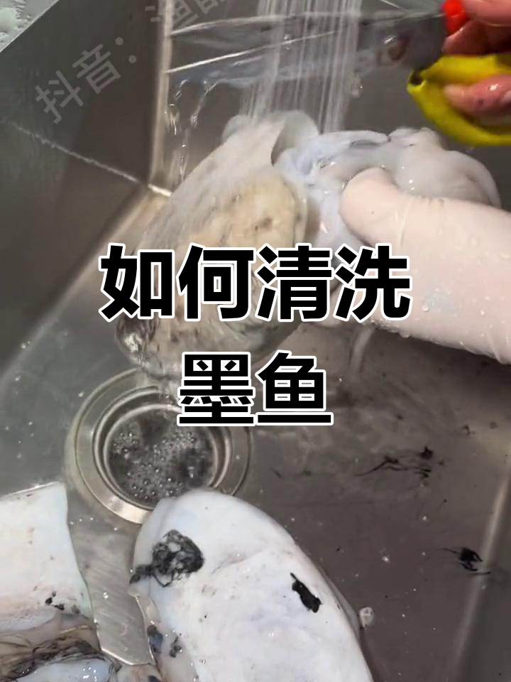 墨鱼清理全攻略,轻松去内脏