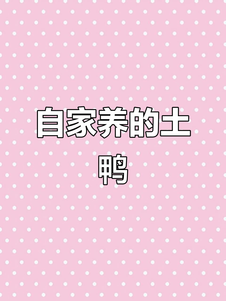 农村绿头鸭养殖,四五斤大鸭子味道鲜美,烧法多样