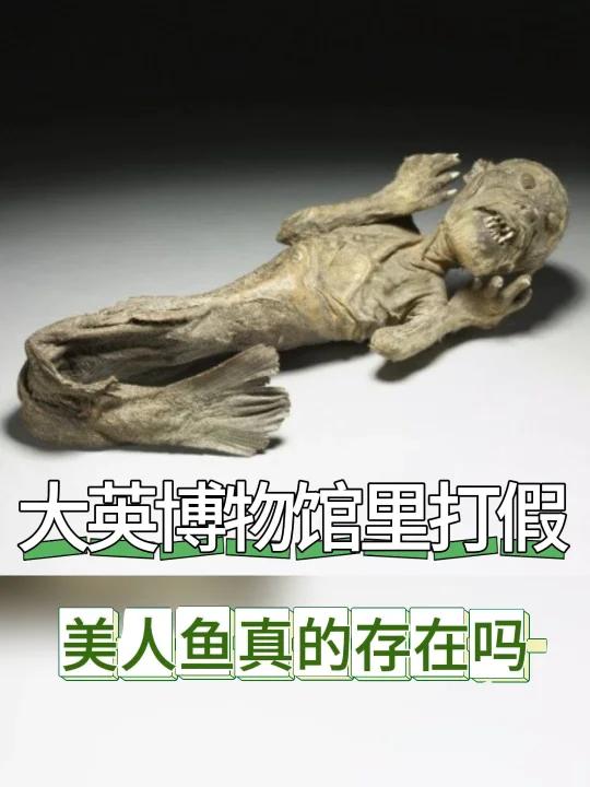 大英博物馆讲解|美人鱼真的存在吗?
