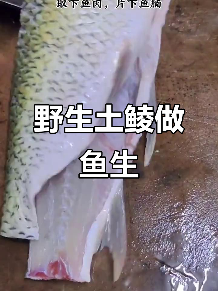 野生土鲮鱼生,口感鲜美你尝过吗?