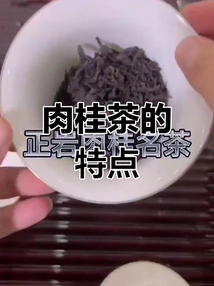 正岩肉桂:武夷岩茶的代表与香气之王