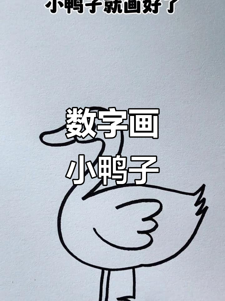 用数字画可爱小鸭子,简单又好玩