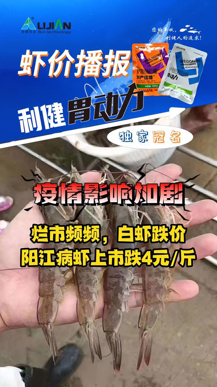 多个主要消费城市受疫情影响,烂市!白虾价格……南美白对虾养殖 水产养殖