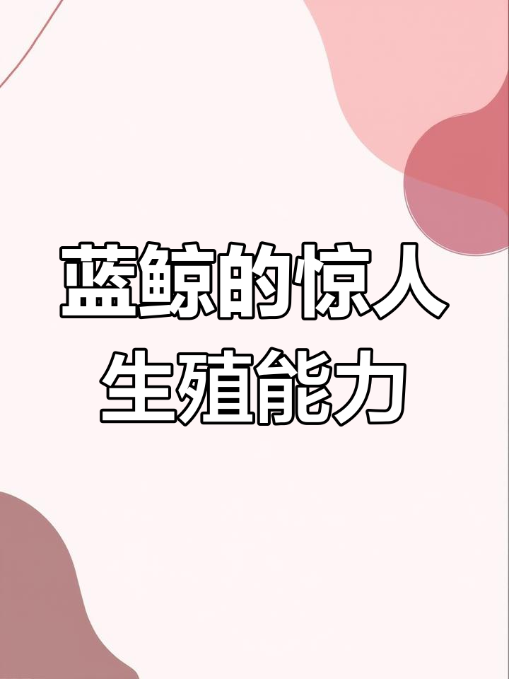 蓝鲸交配揭秘:3米丁丁与1分钟繁殖