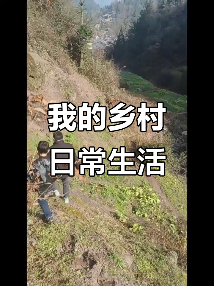 农村生活日常:挖山药、炖牛肉,真实记录每一天