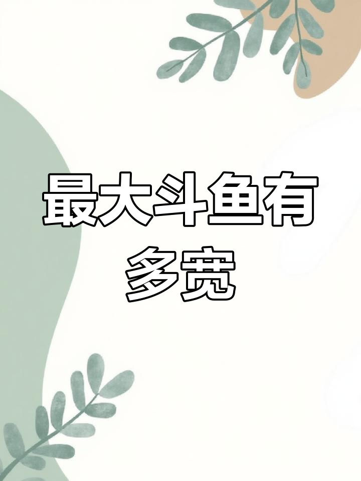 野生斗鱼能长多大?见过最大的有多大