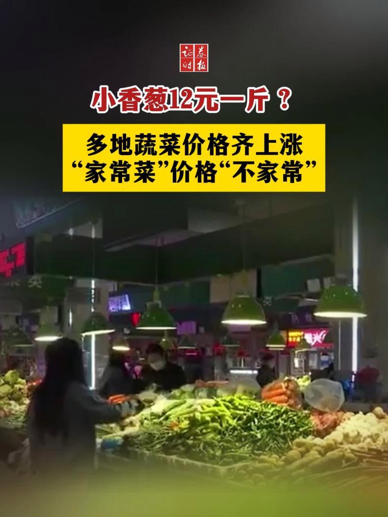 小香葱12元一斤!湖南蔬菜零售价“七连涨”!四川多种蔬菜价格涨幅超过50%!多地蔬菜价格为