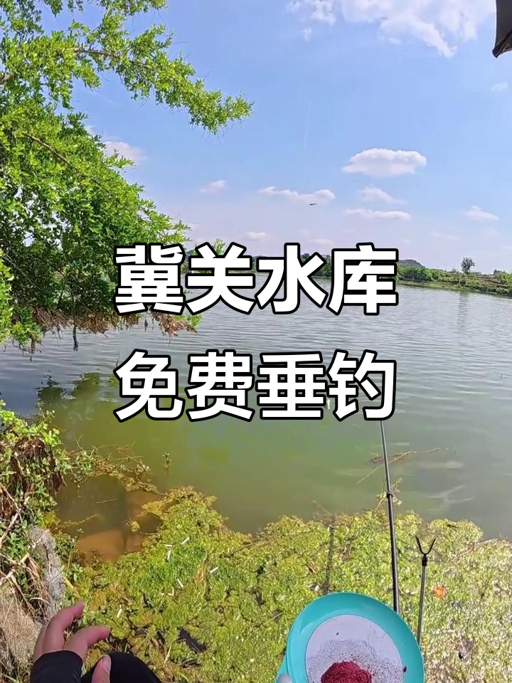 免费水库钓鱼挑战，六米三短杆钓大鲤鱼！