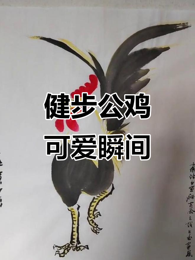 公鸡悠闲散步,脖子扭动萌态十足